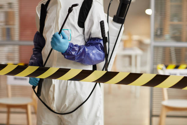 Professional Sewage Cleanup technician working in South Bay, FL